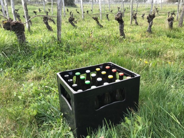 20 Bouteilles 50cl Mixte